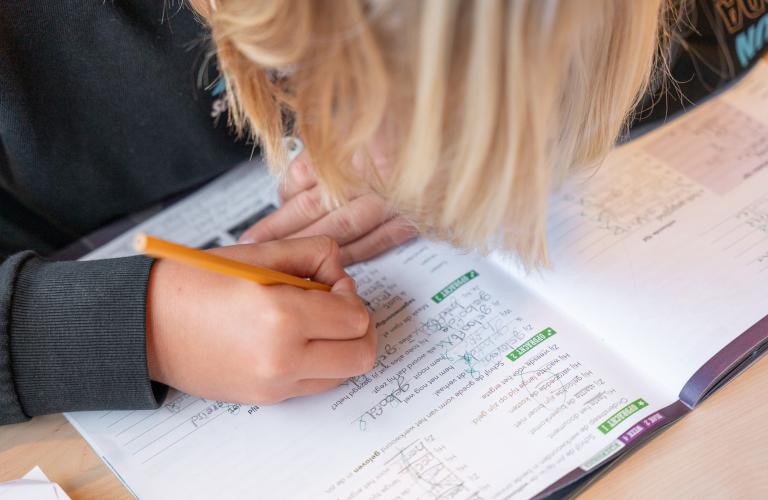 Volgen van ontwikkeling