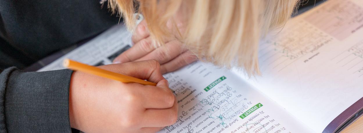 Volgen van ontwikkeling