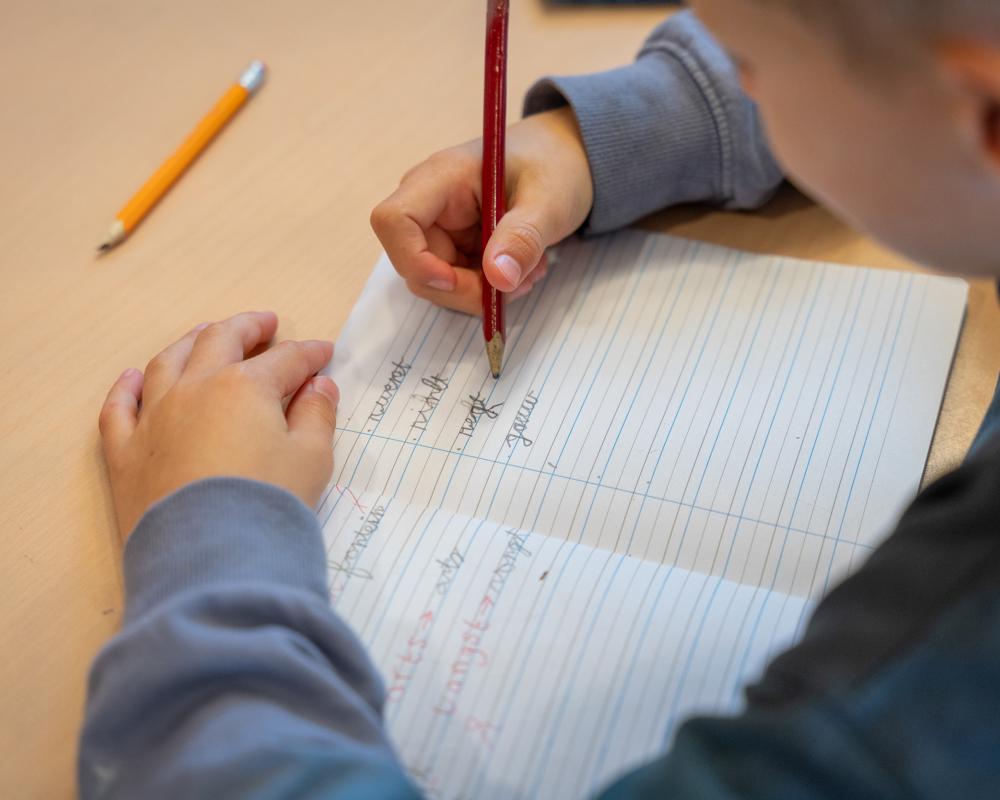 Scholengroep Holland